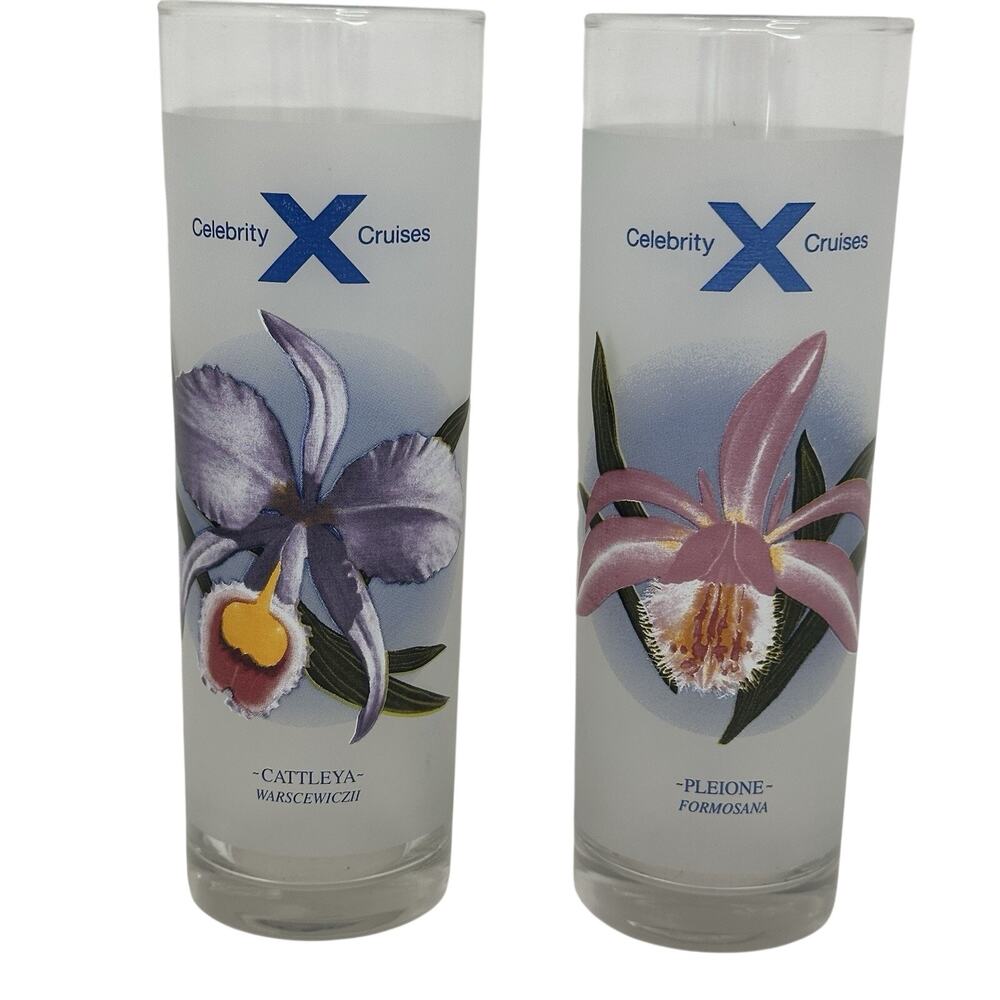 2 Celebrity Cruises Tall Collins Glasses Bon Voyage With Drink Recipes